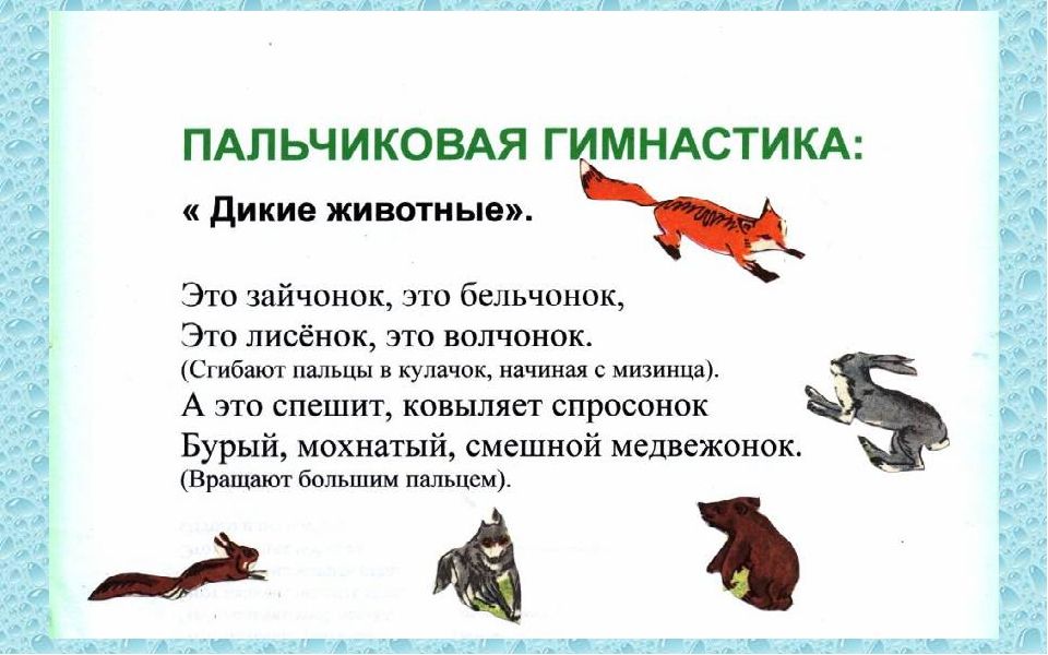 Вопросы Про Диких Животных
