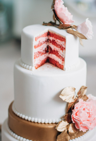 Пудровая роза