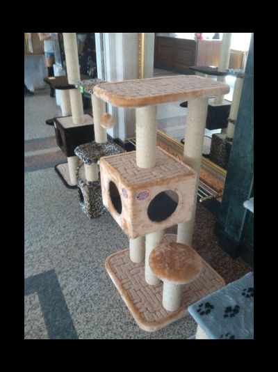 №161 Игровой комплекс "Мурзик"