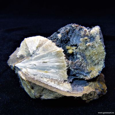 Барит на псиломелане в полости ракушки. 50*50*42мм