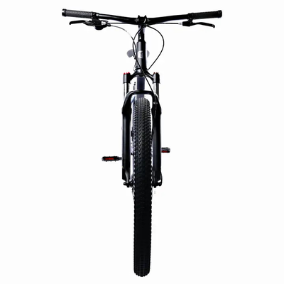 Велосипед TechTeam Nevelin 29"x19 2025