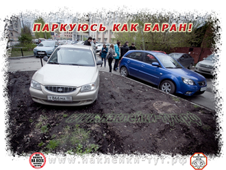 Наклейка победитель конкурса: САМАЯ ИДИОТСКАЯ ПАРКОВКА из серии СтопХам - для идиотов на парковке.