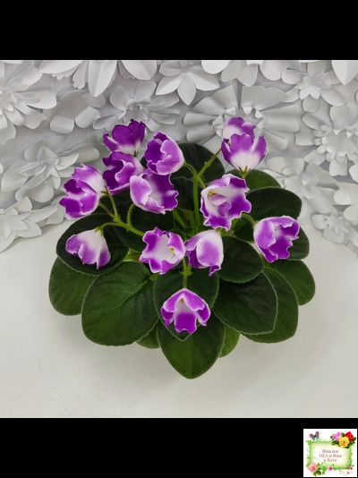 SimSim Magic Bells (Alex Mayer) (лист посажен 07.10.25)