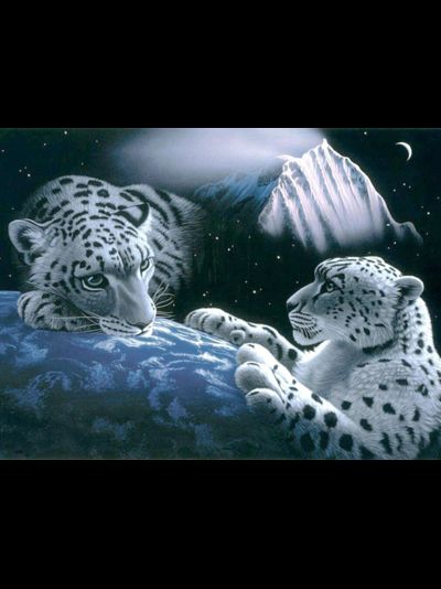 Купить греющую картину с фото снежные барсы