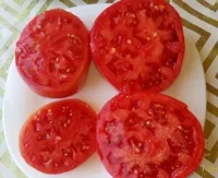 Китайский розовый