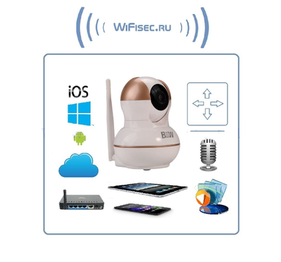 BW. Видеоняня /WiFi-LAN видеокамера моторизированная с DVR , HD (163Eye/Yoosee)