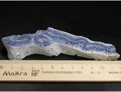 Коралл голубой Акори, Австралия (119*30*13 мм, 51 г) №37709