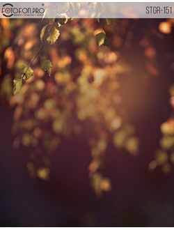 Фотофон на холсте «Отблеск осени»