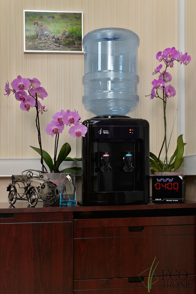 Кулер Ecotronic H2-TE Black