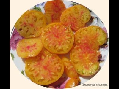 Томат Золотая медаль (Gold Medal)