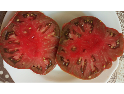 Томат Большой Бордовый (Гроссе бордо, Grosse Bordeau)