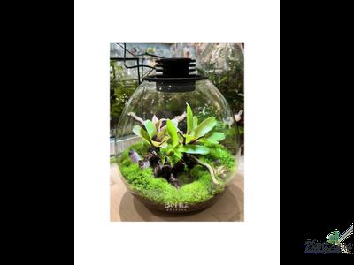 Биобутылка Biolark LED PD 170 (175мм х 195мм)