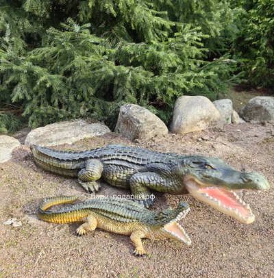 Крокодил 15*40см   1,2кг   полистоун Россия 1844/012457*