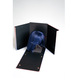 WIG CASE