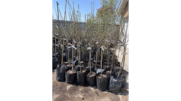 Подготовка к отгрузке на объект. 