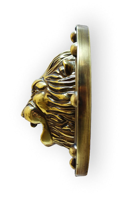 вид сбоку медальон льва MS-004