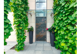 Стеклянные навесы и козырьки