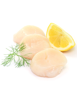 ГРЕБЕШОК морской ФИЛЕ индивидуальная заморозка. Размер 10/20 шт/фунт. Упаковка 1кг