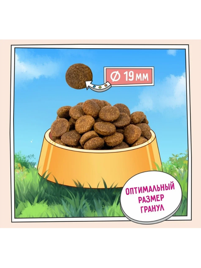 ZILLII Adult Large Breed Корм сухой для взрослых собак крупных пород Индейка с Ягненком 15 кг