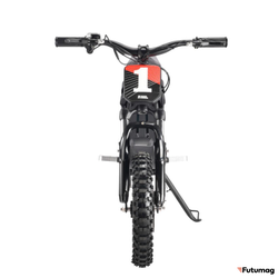 ЭлектроМОТОЦИКЛ WHITE SIBERIA MUXA