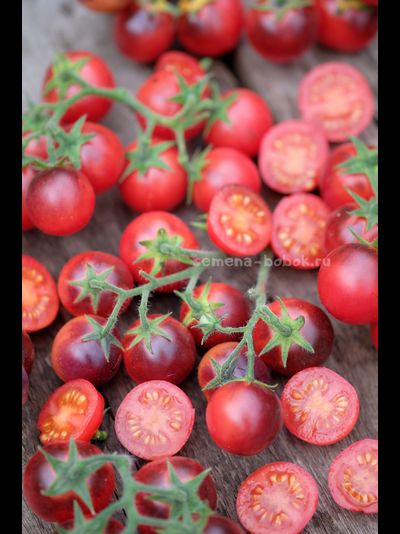 Томат Маленький Красный Корвет (Little Red Corvete), 10 шт