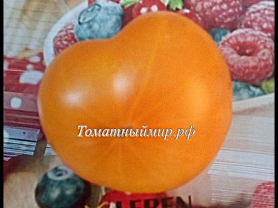 Томат Азочка (Azoychka)