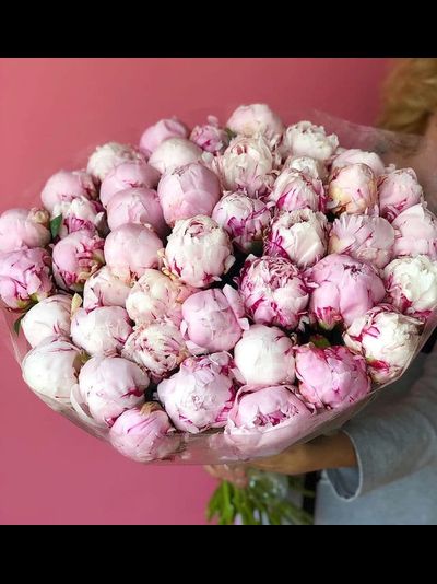 Классические пионы количество на выбор