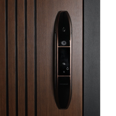 Стальная дверь   Фиджи. Заказная модель.