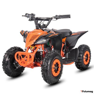 Электроквадроцикл WHITE SIBERIA SNEG LETO R 1000W Оранжевый