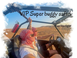 Vip super buggy safari