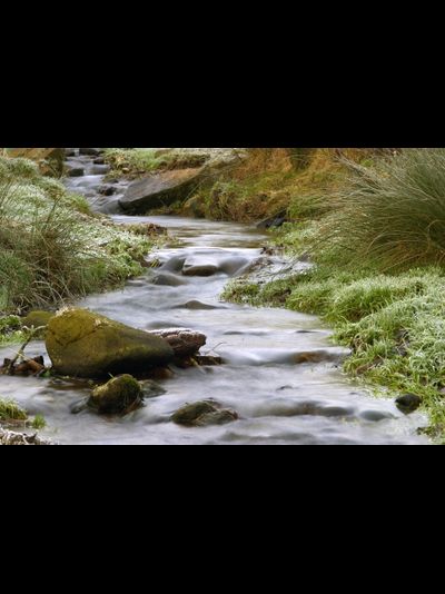 Купить греющую картину с фото весенний ручей