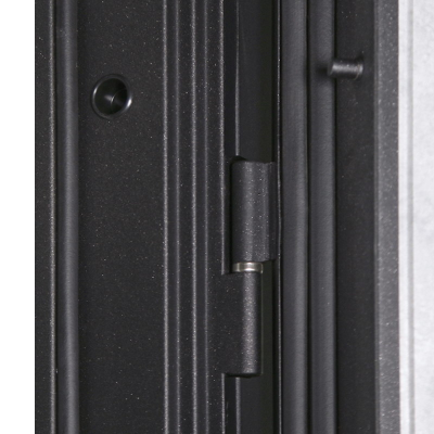 Стальная дверь   Avant. Заказная модель.