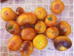Томат Золотое яблоко