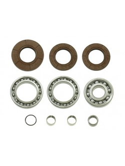 Ремкомплект заднего редуктора Bronco AT-03A35 для SPORTSMAN 550/850/1000, SCRAMBLER 850/1000