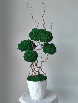 Живая эко-композиция 1002