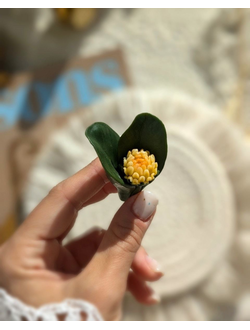 Веточка хризантемы с бутоном