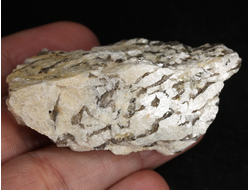 Гранит письменный, пегматит, необработанный, Россия, Мурманская обл. (55*30*23 мм, 44 г) №37796