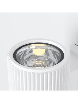 Настенный светильник (бра) Rando, O419WL-01W