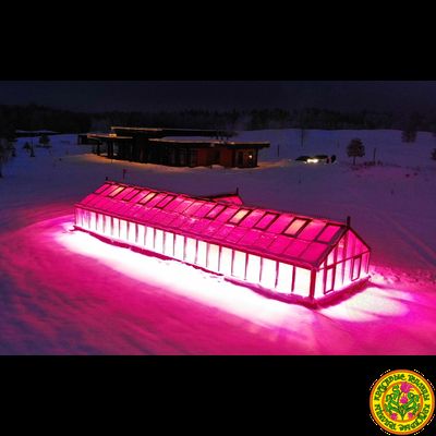 Зимняя английская теплица с холлом АГАТА размером 5500 х 11000 мм