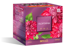 Салют Z0894 ZEERGO