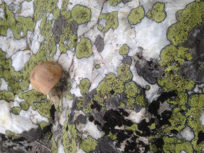 Глыба белая