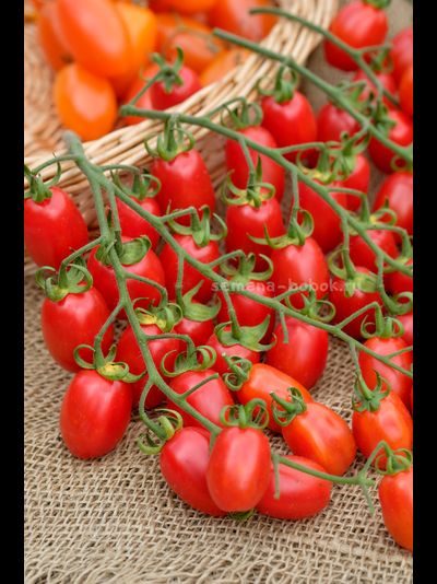 Томат Сызранские Дамские Пальчики, 10 шт.