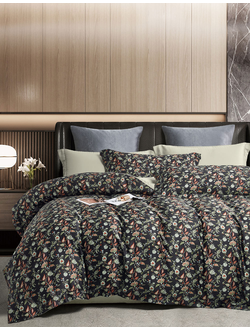 Постельное белье TANGO тенсел евро 200x220x1 250x270x1 50x70x2 70x70x2 TT6-154