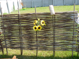 Забор плетень из орешника
