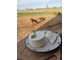 Сыр козий мягкий молодой фермерский с доставкой на дом | ферма СытникЪ