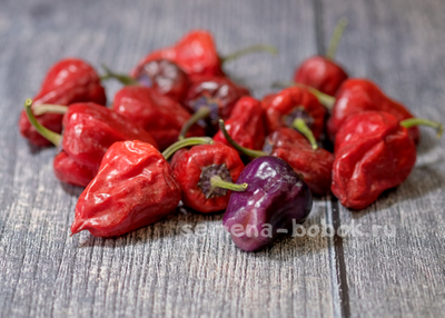 Перец острый Purple UFO, 10 шт