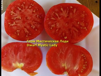 Томат Таинственная леди Dwarf Mystic Lady, Мистическая леди)
