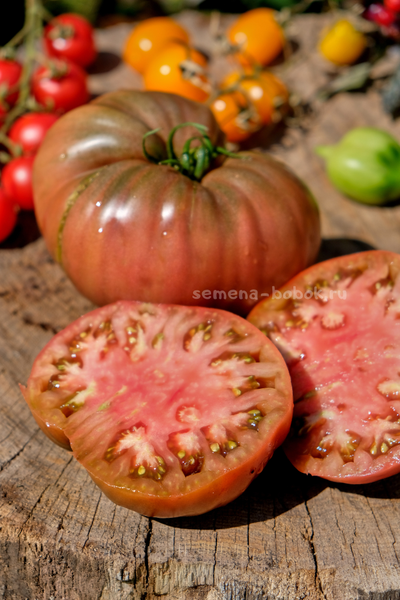 Томат Черное с Носиком от Борисовны, 10 шт