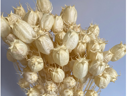 Нигелла дамасская отбеленная