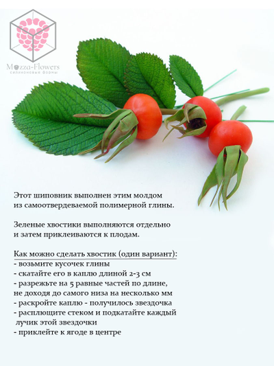 "Шиповник декоративный" Силиконовый молд